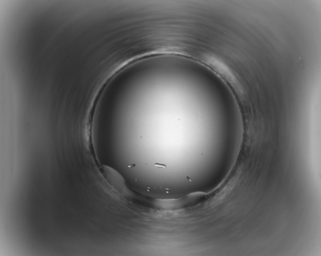X0000089871284200707051145