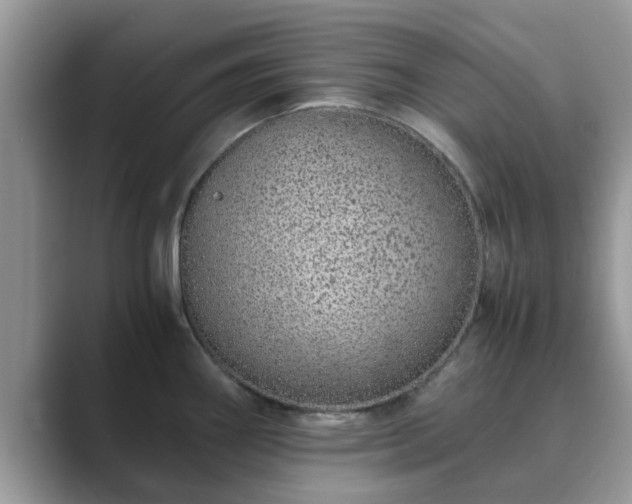 X0000089871290200707051145