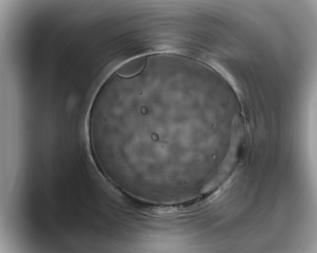 X0000089871291200707051145