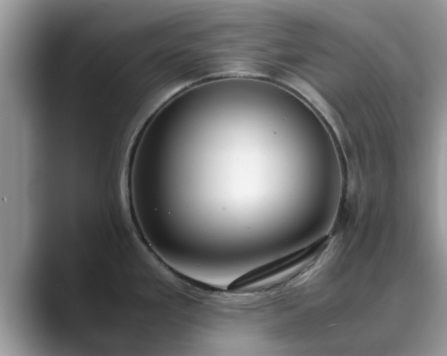 X0000089871293200707051145