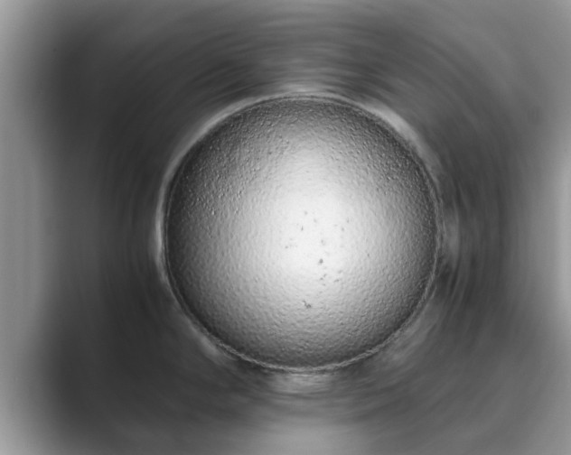 X0000089871294200707051145
