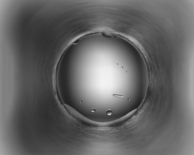 X0000089871295200707051145