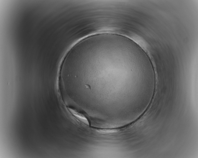 X0000089871296200707051145