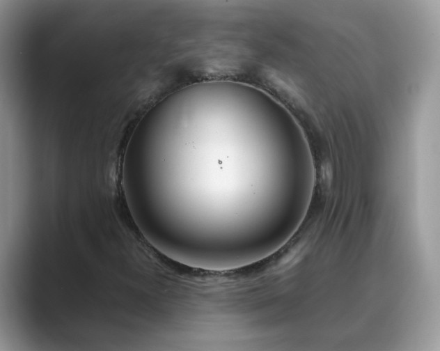 X0000089871300200707051144