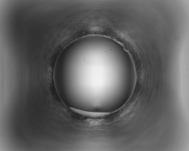 X0000089871301200707051144