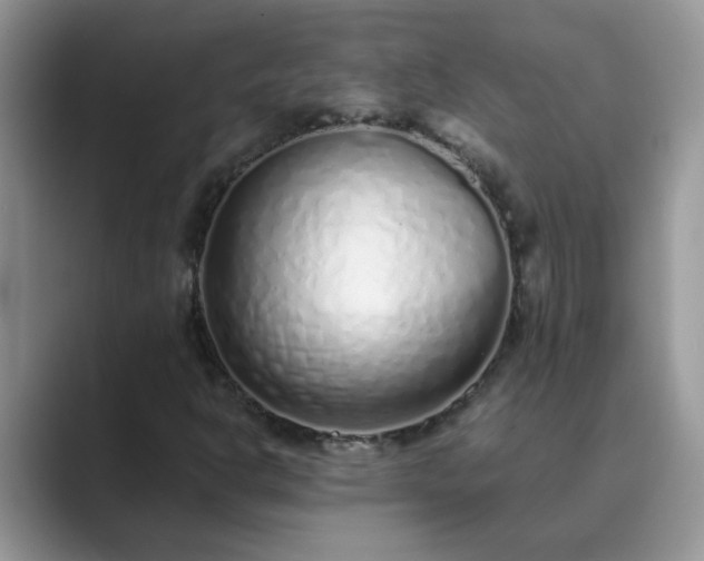 X0000089871302200707051144