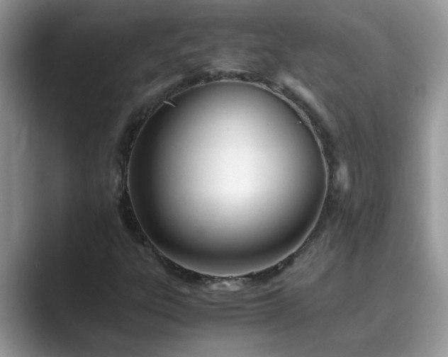 X0000089871303200707051144