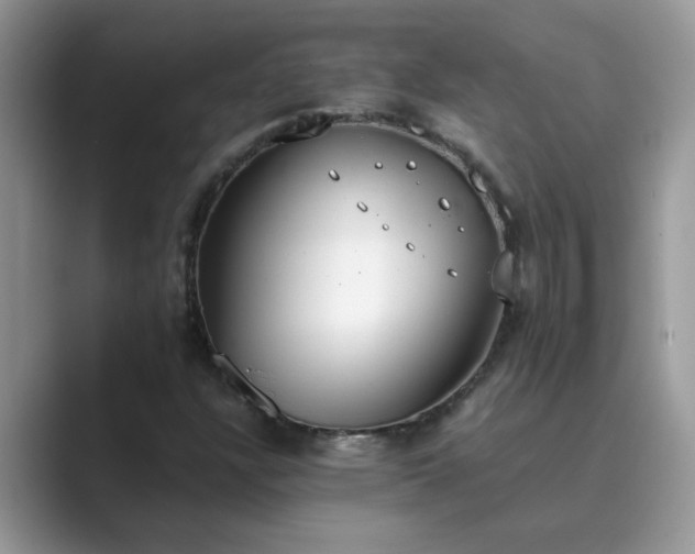 X0000089871304200707051144