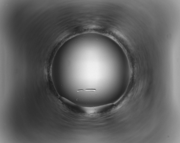 X0000089871305200707051144