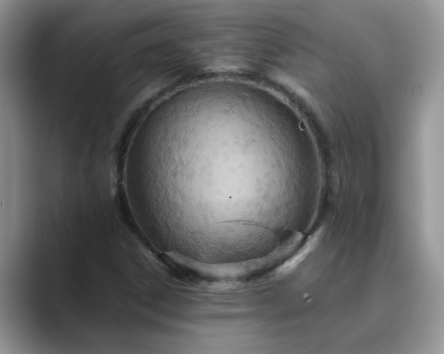 X0000089871306200707051144