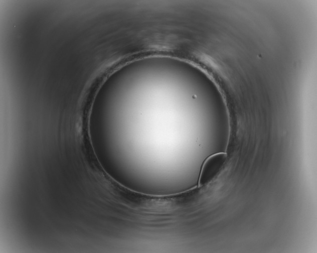 X0000089871307200707051144