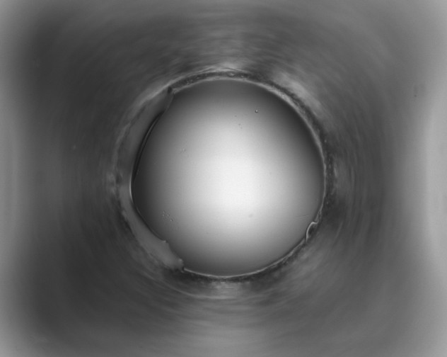 X0000089871308200707051144