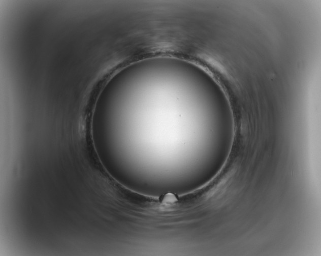 X0000089871309200707051144