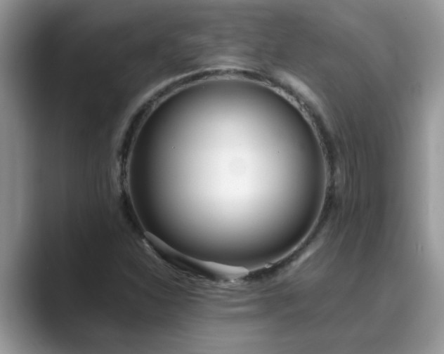 X0000089871310200707051144