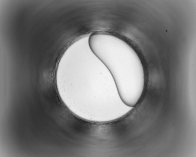 X0000089871314200707051144