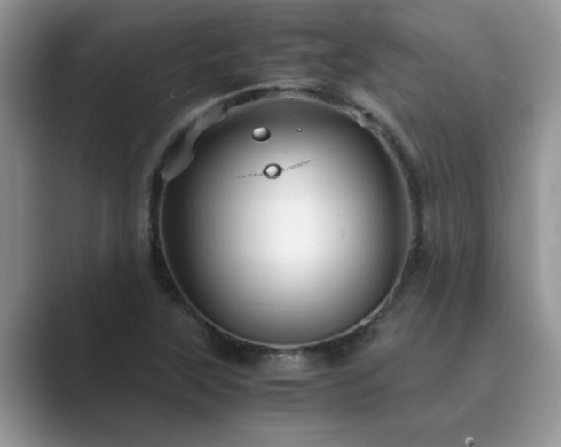 X0000089871315200707051144