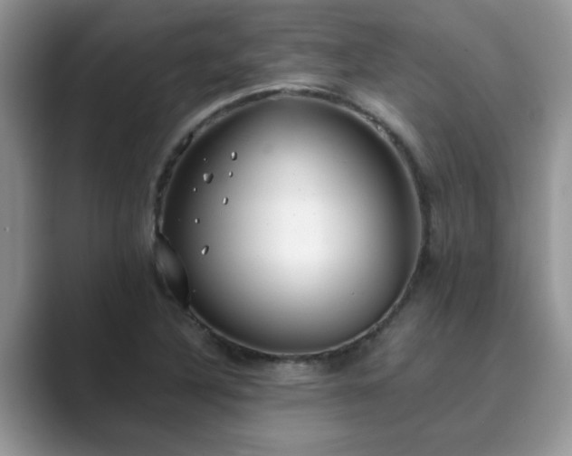 X0000089871316200707051145