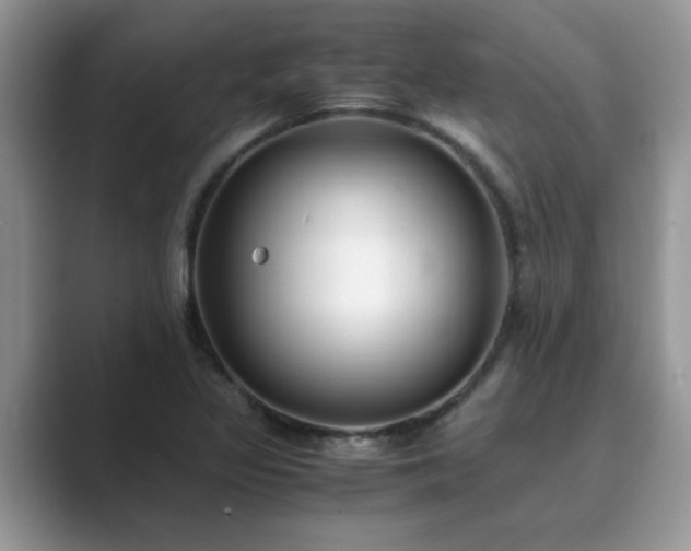 X0000089871317200707051145
