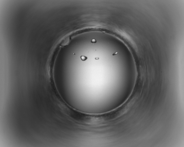 X0000089871318200707051145