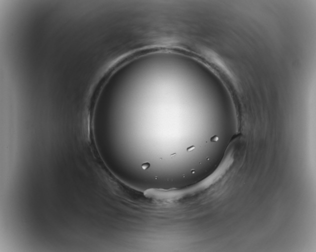 X0000089871320200707051145