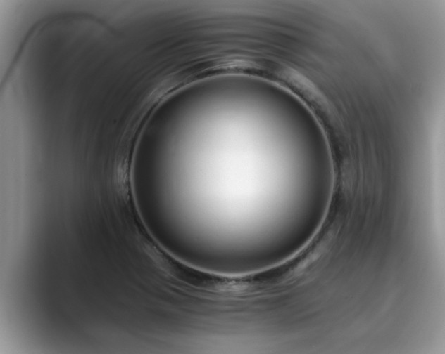 X0000089871321200707051145