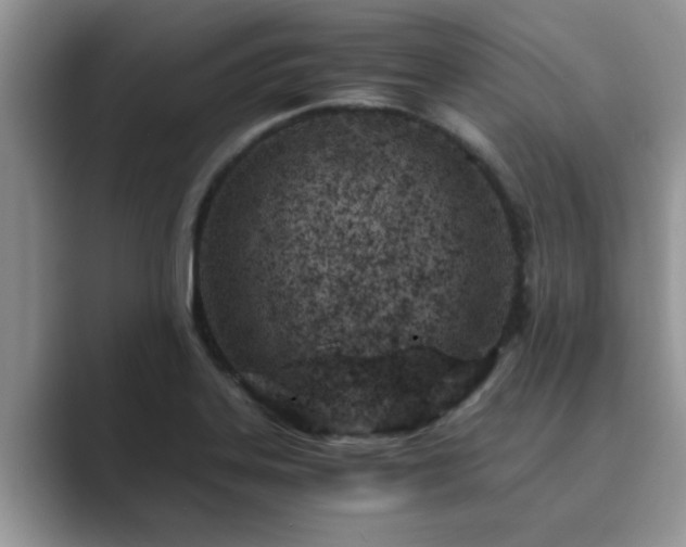 X0000089871323200707051145