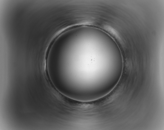 X0000089871324200707051145