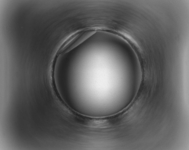 X0000089871325200707051145