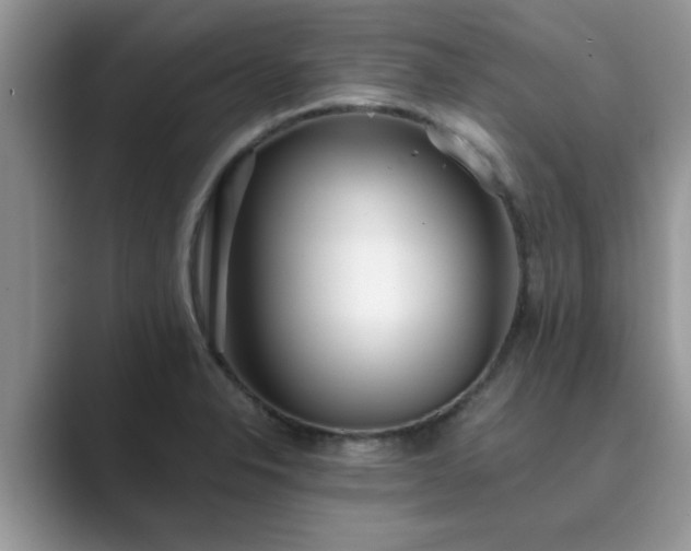 X0000089871326200707051145