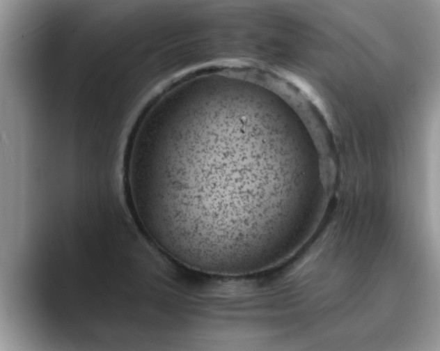 X0000089871327200707051145