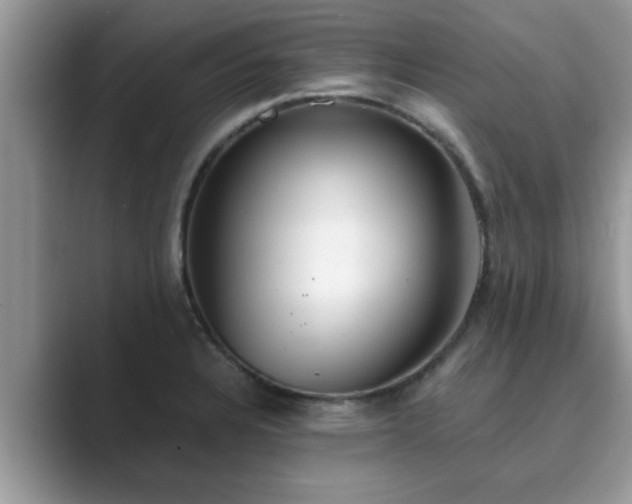 X0000089871328200707051145