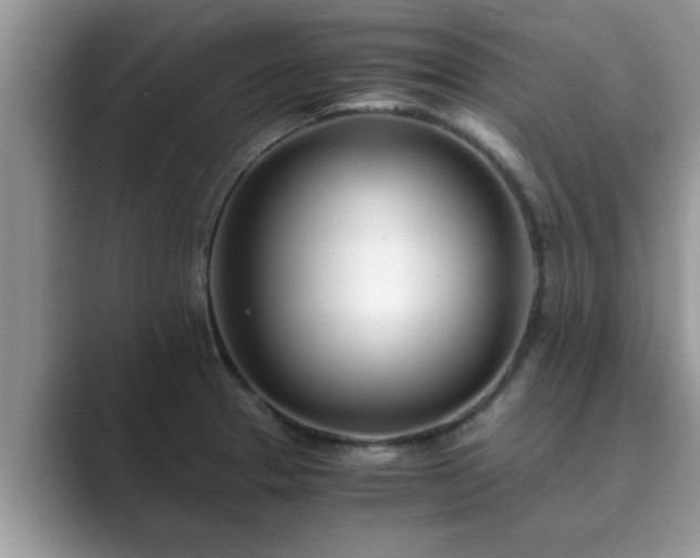 X0000089871329200707051145