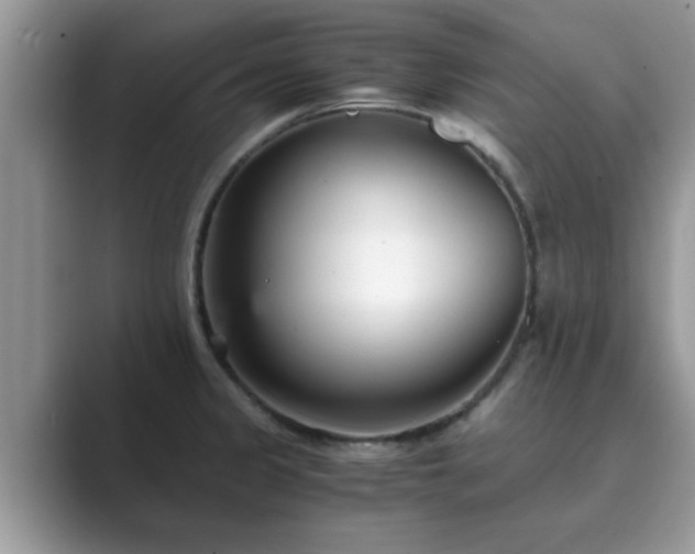 X0000089871333200707051145