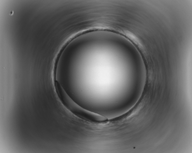 X0000089871334200707051145