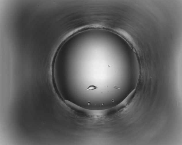 X0000089871335200707051145