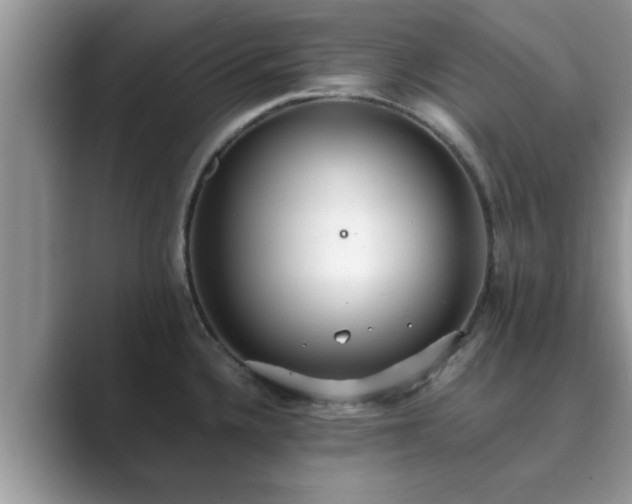 X0000089871336200707051145