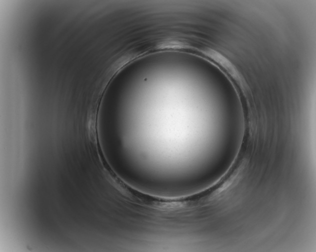 X0000089871337200707051145
