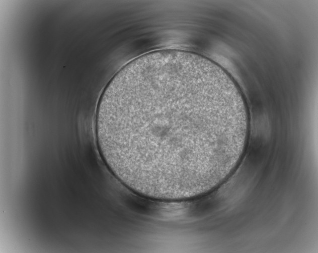 X0000089871338200707051145