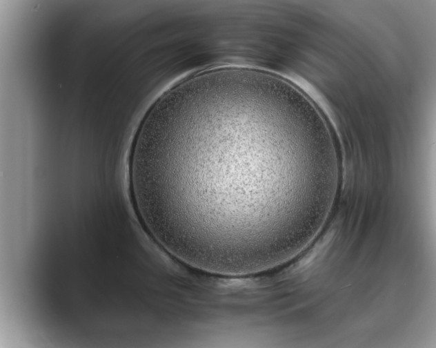 X0000089871341200707051145