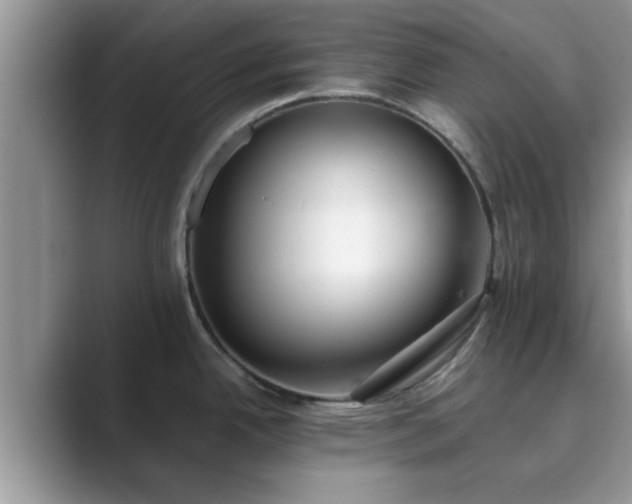 X0000089871342200707051145