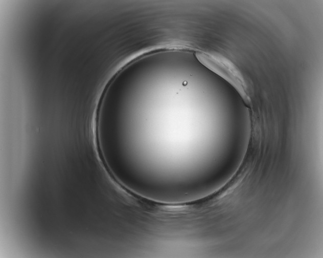 X0000089871343200707051145
