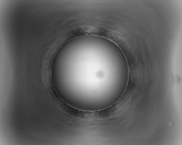 X0000089871345200707051144