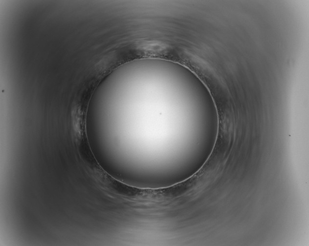 X0000089871346200707051144