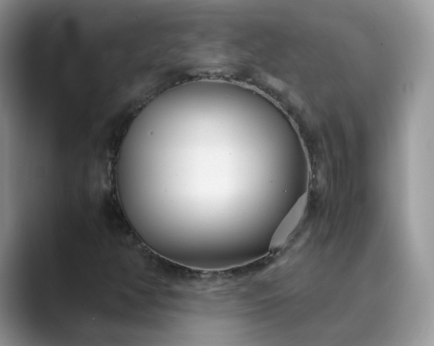 X0000089871350200707051144