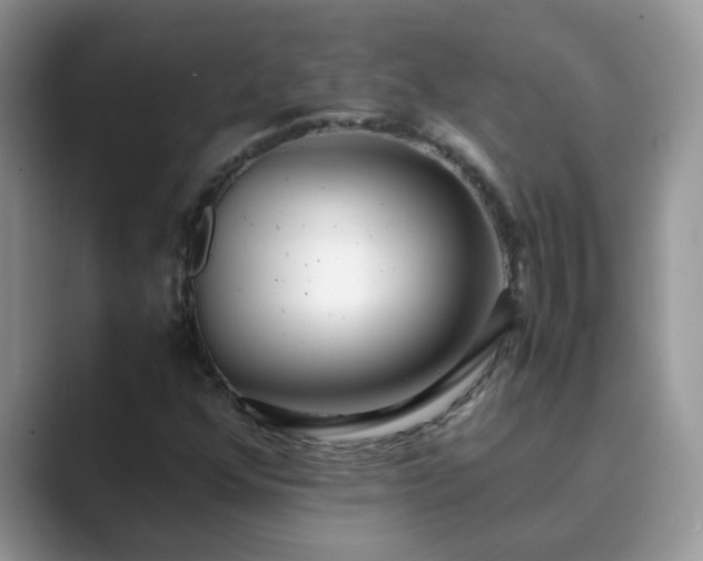 X0000089871352200707051144