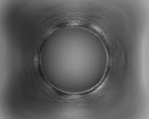X0000089871353200707051144