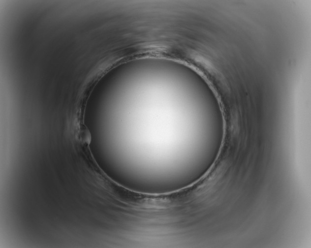 X0000089871354200707051144