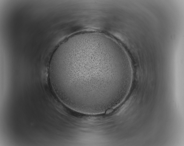 X0000089871355200707051144