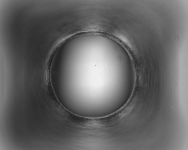 X0000089871358200707051144