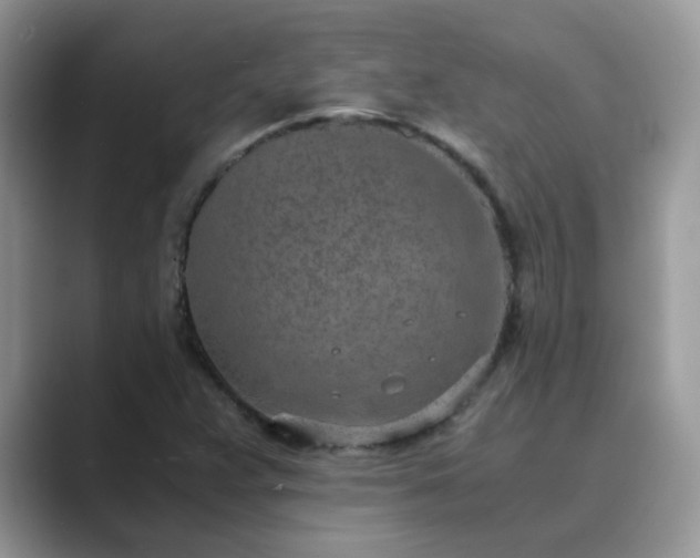 X0000089871359200707051144